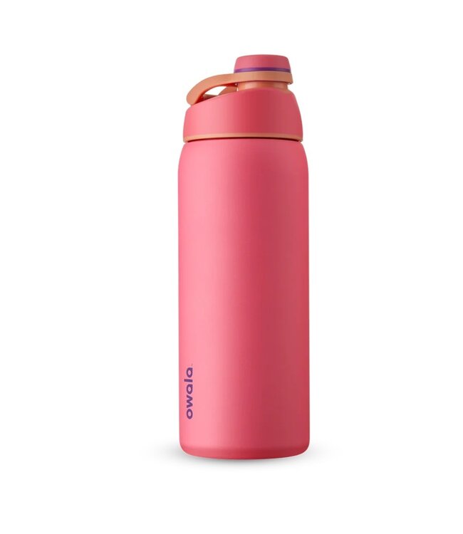 Owala FreeSip Stainless Steel Water Bottle / 32oz / Color: Smooshed  Blueberry