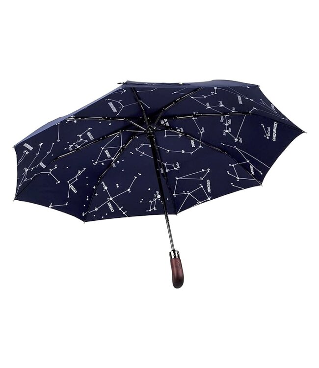 Balios Folding Auto Open Close - Single Canopy