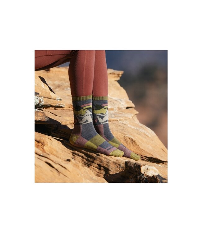 Darn Tough Women's Trailblazer Micro Crew Lightweight Hiking Sock