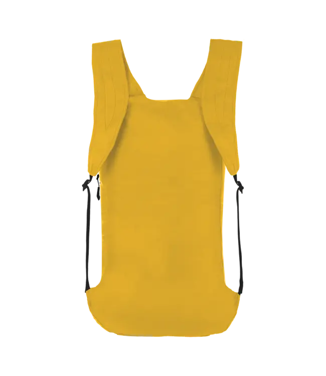 Salewa Ultralight 22L