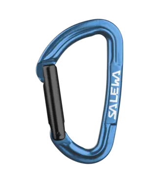 Salewa Salewa Hot G3 Straight Carabiner