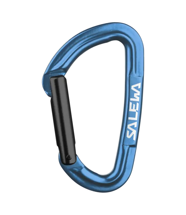 Salewa Salewa Hot G3 Straight Carabiner