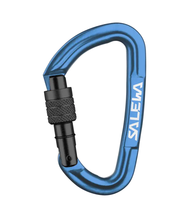 Salewa Salewa Hot G3 Screw Carabiner