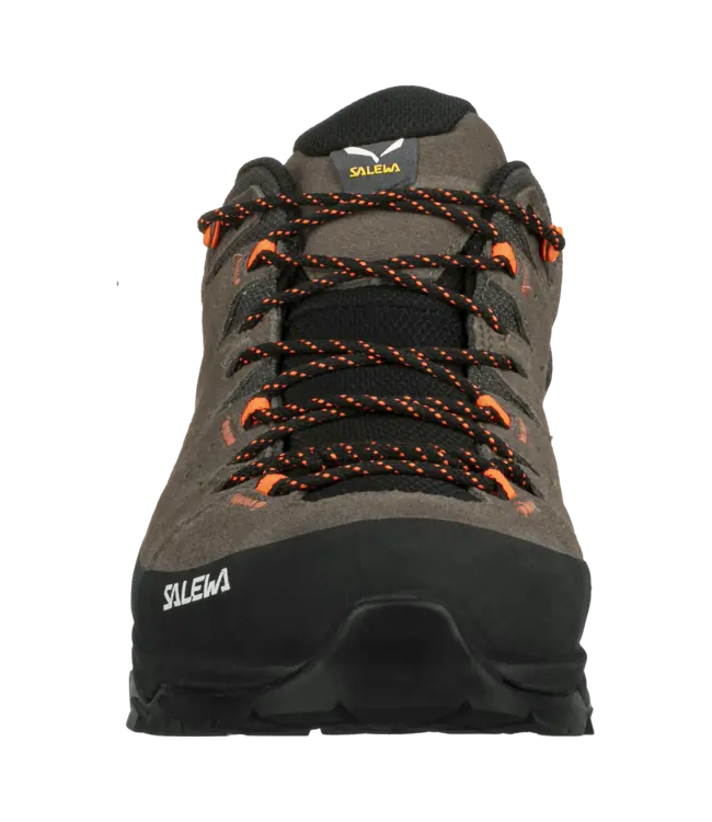Salewa Alp Trainer 2 Gore-Tex® Men's Shoe