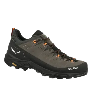 Salewa Salewa Alp Trainer 2 Gore-Tex® Men's Shoe