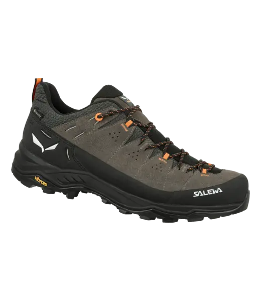 Salewa Salewa Alp Trainer 2 Gore-Tex® Men's Shoe