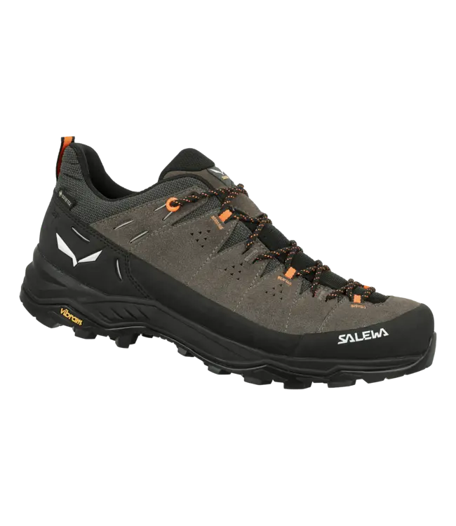 Salewa Salewa Alp Trainer 2 Gore-Tex® Men's Shoe