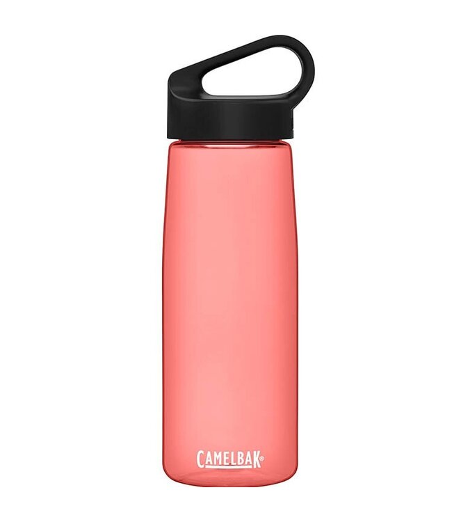 CamelBak Camelbak Carry Cap 25oz