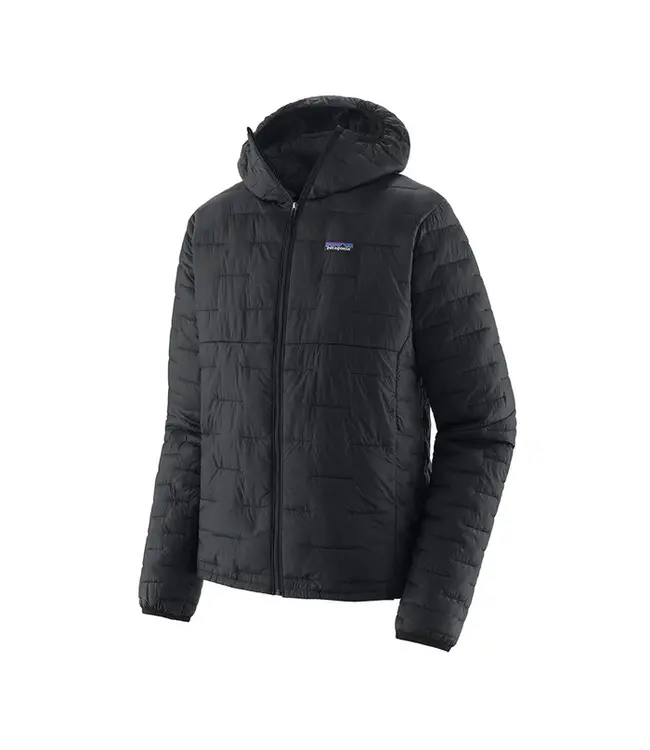 Patagonia Patagonia Men's Micro Puff Hoody