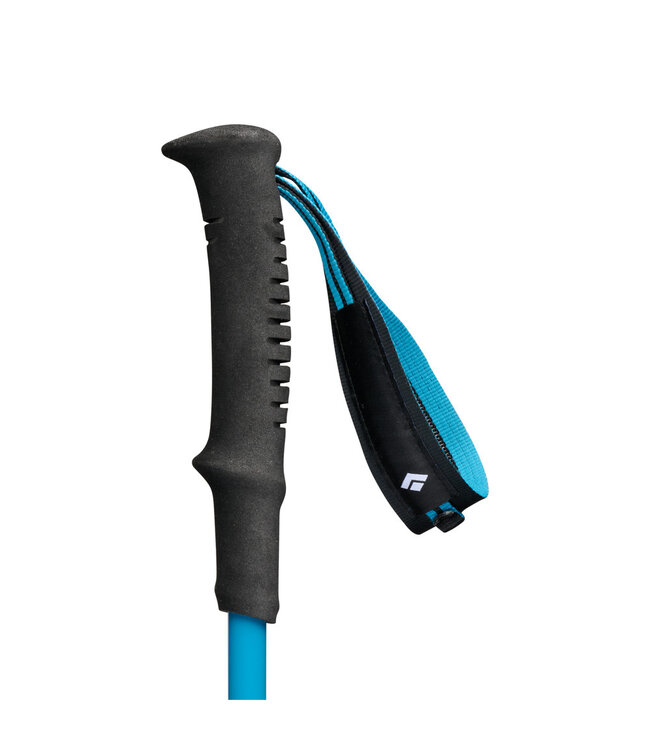 Black Diamond Distance Carbon FLZ Poles