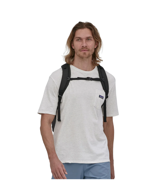 Patagonia Refugio Day Pack 30L