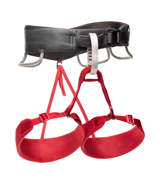 Black Diamond Momentum Harness - Women's