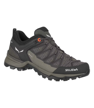 Salewa Salewa Mountain Trainer Lite GORE-TEX® Women's Shoes