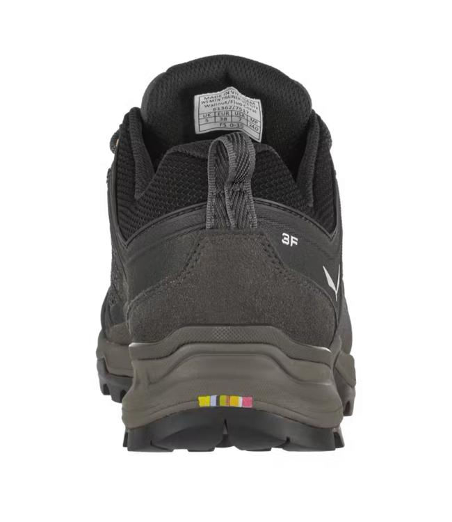 Salewa Mountain Trainer Lite GORE-TEX® Women's Shoes