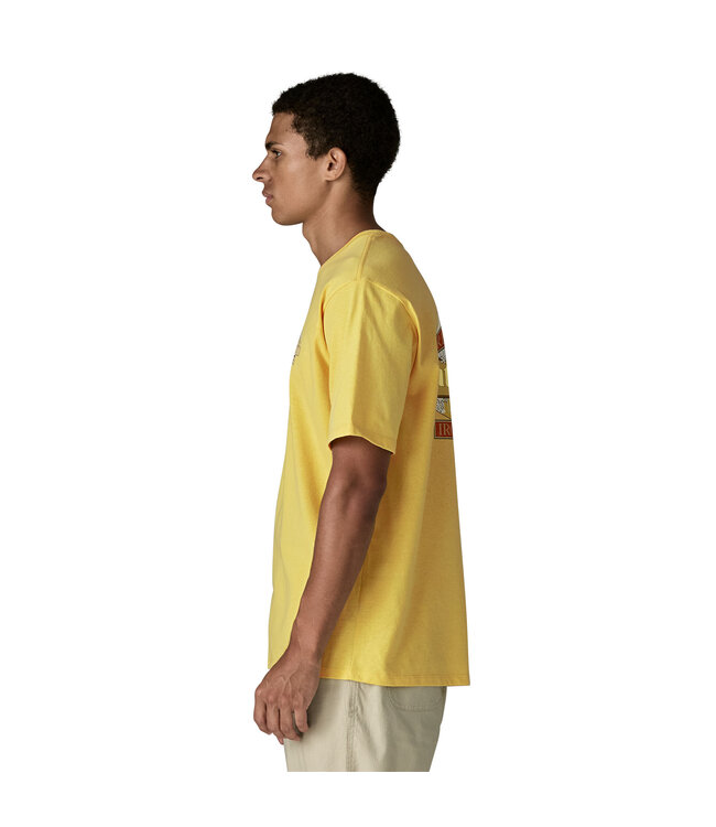 Patagonia Men's Great Waves Responsibili-Tee®