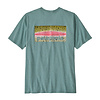Patagonia Patagonia Men's Take a Stand Responsibili-Tee