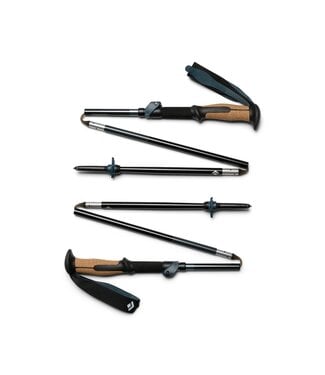 Black Diamond Black Diamond Trail Vista FLZ Trekking Poles