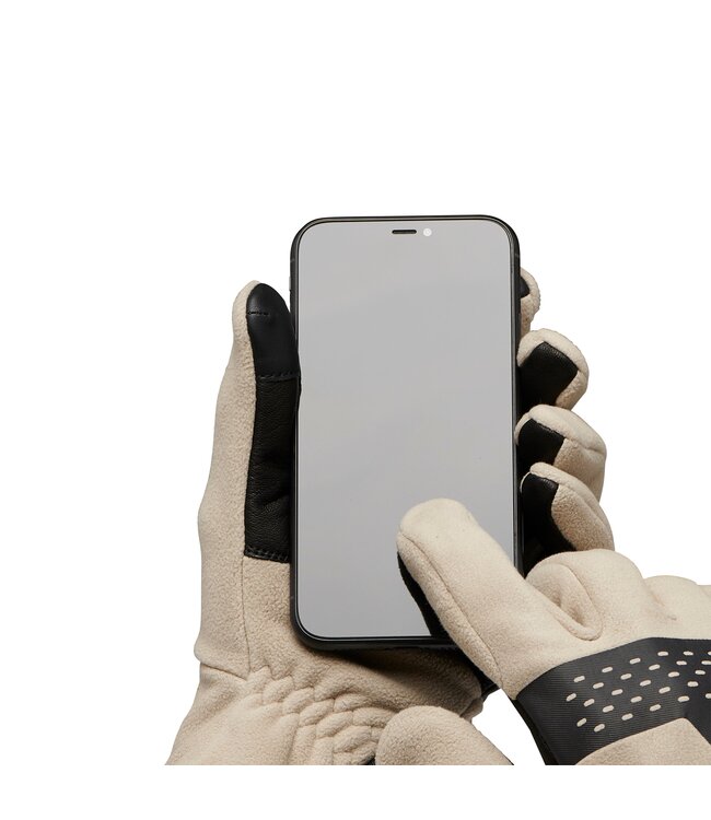 Black Diamond Alpine Fleece Gloves