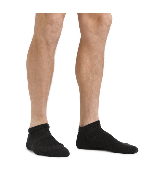 Darn Tough Men's Light Hiker No Show Lightweight Hiking Sock