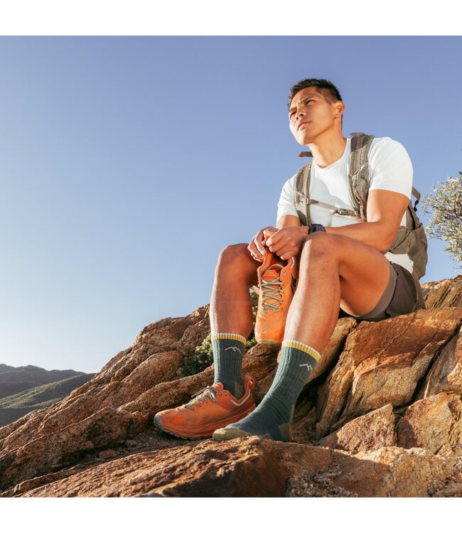 Darn Tough Men's Hiker Micro Crew Midweight With Cushion