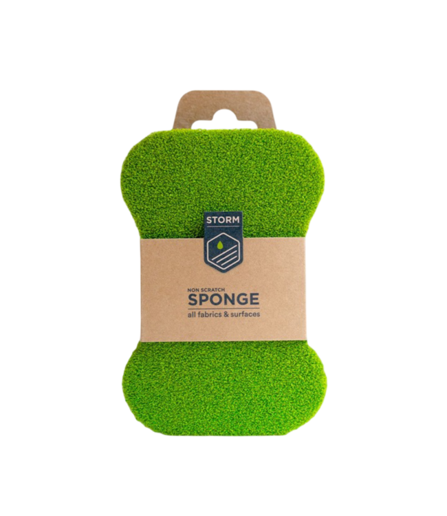 Storm Non Scratch Sponge