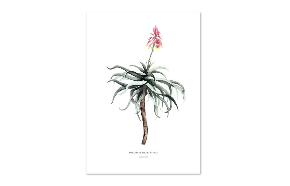 Kaart Succulent