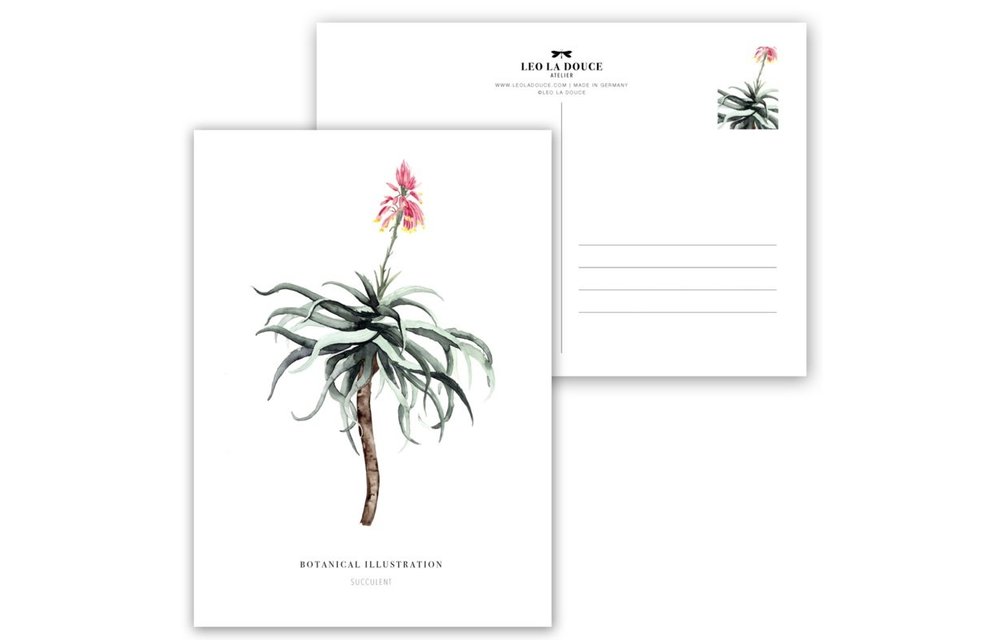 Kaart Succulent
