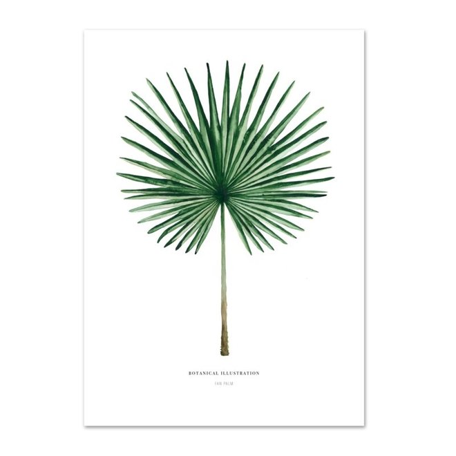 Kaart Palm