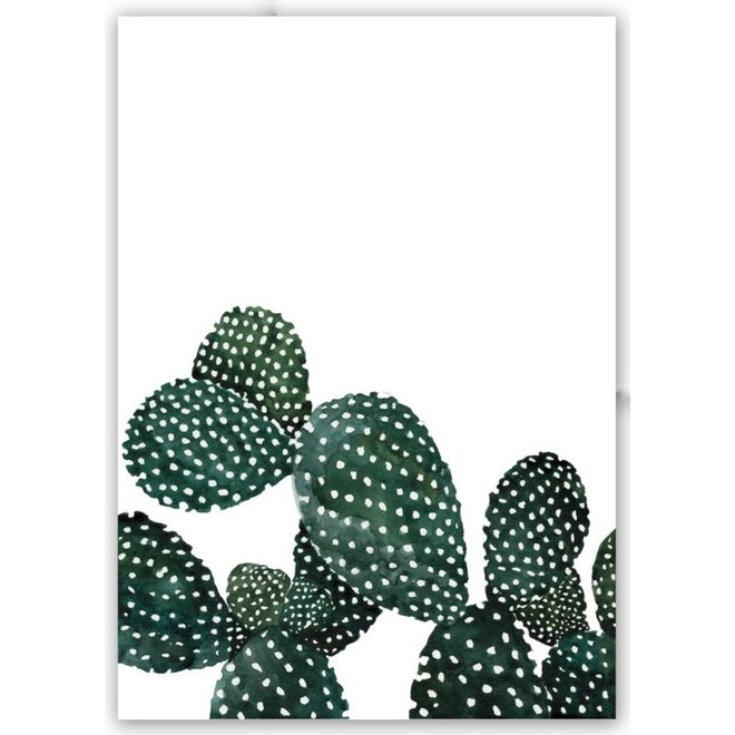 Kaart Cactus