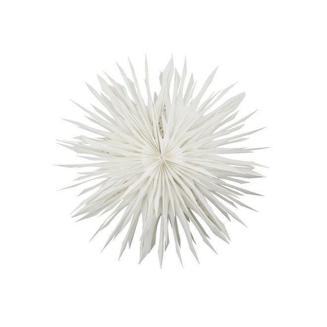 Papieren ster Reef Offwhite 50cm