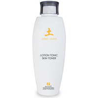 Purifying Toner Erde