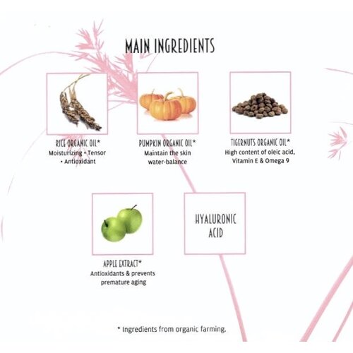 Naobay Crème de récupération Origin Prime Naobay Crème de récupération Origin Prime