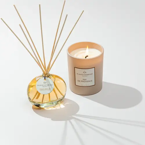Plantes & Parfums Fragrance Diffuser - Absolute Tonka Plantes & Parfums Fragrance Diffuser - Absolute Tonka