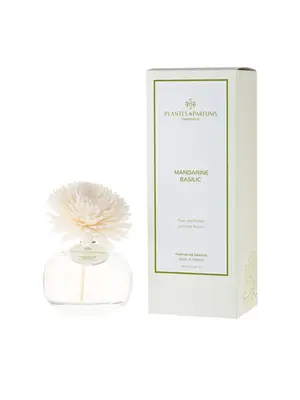 Plantes & Parfums Scented Flower - Mandarin Basil Plantes & Parfums Scented Flower - Mandarin Basil