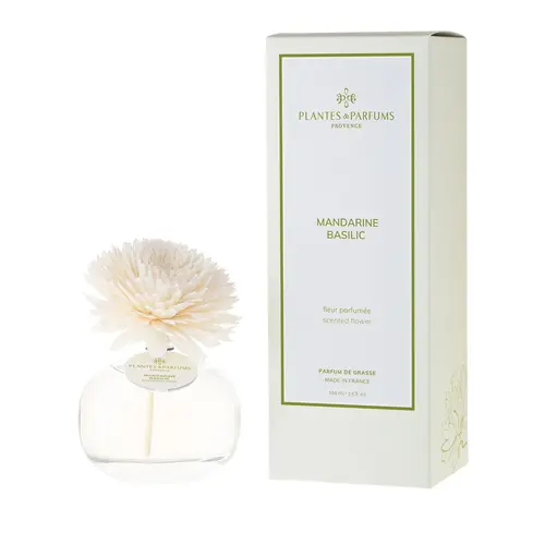 Plantes & Parfums Scented Flower - Mandarin Basil Plantes & Parfums Scented Flower - Mandarin Basil