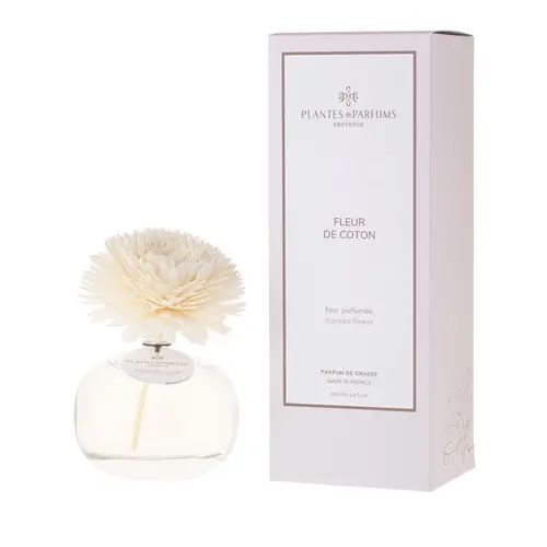 Plantes & Parfums Scented Flower - Cotton Flower Plantes & Parfums Scented Flower - Cotton Flower