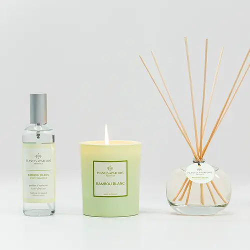 Plantes & Parfums Raumduft – White Bamboo Plantes & Parfums Raumduft – White Bamboo
