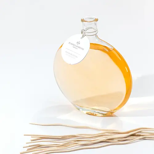 Plantes & Parfums Prestige-Duftbouquets – White Bamboo Plantes & Parfums Prestige-Duftbouquets – White Bamboo