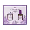 Lavendel-Geschenkset