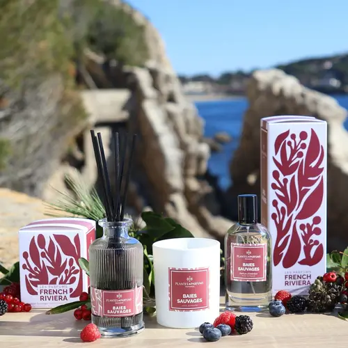 Plantes & Parfums Fragrance Diffuser - Wild Berries Plantes & Parfums Fragrance Diffuser - Wild Berries