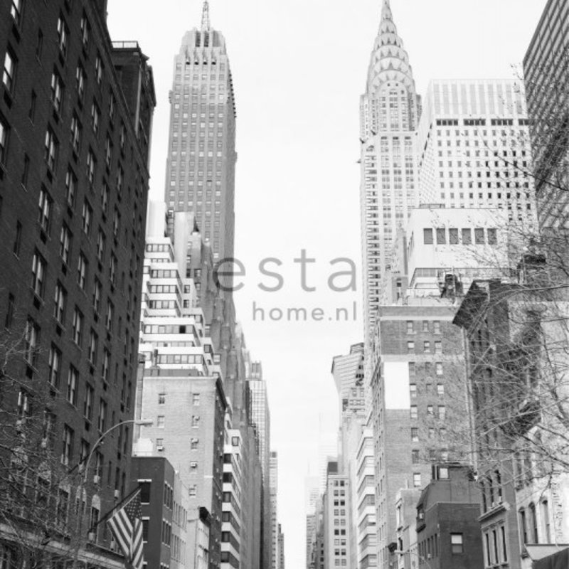 Esta Home Esta Home Denim & Co. PhotowallXL NY street view 157706