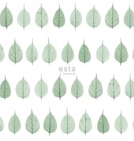 Esta Home Greenhouse Skelet bladeren behang 128847
