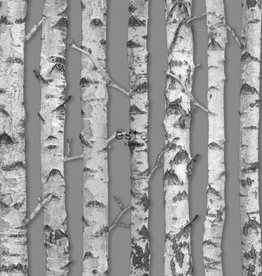 Esta Home Esta Home Greenhouse Berken boomstammen behang 138892