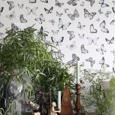 Esta Home  Greenhouse Vlinders behang 138875