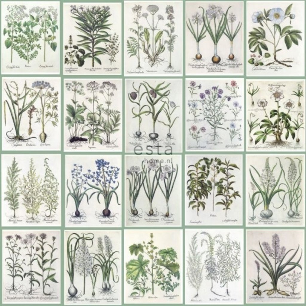 Esta Home Esta Home Greenhouse Wallpaper XXL Botanisch 158826