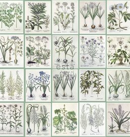 Esta Home Greenhouse Wallpaper XXL Botanisch 158826