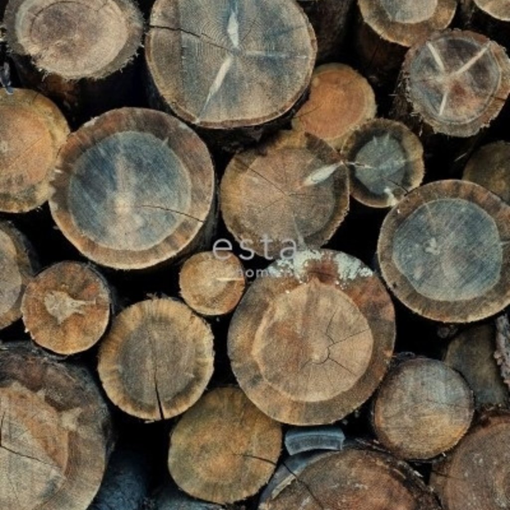 Esta Home Esta Home Greenhouse Wallpaper XXL wood logs 158206