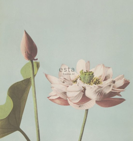 Esta Home Esta Home Blush PhotowallXL Lotus Flower 158890