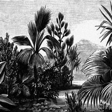 Esta Home Esta Home Paradise PhotowallXL Jungle Engraving 158953