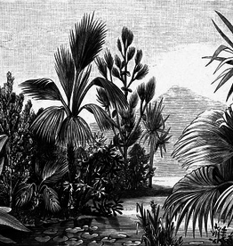Esta Home Esta Home Paradise PhotowallXL Jungle Engraving 158953